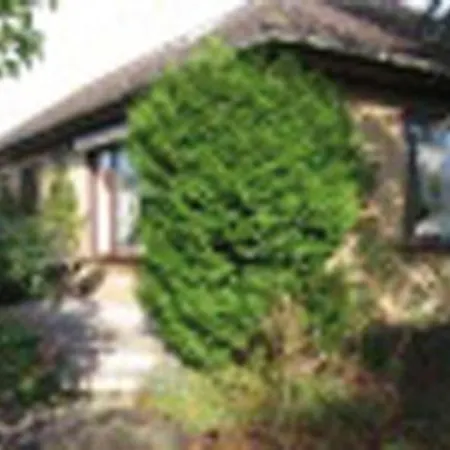 Sassenberg, Whg 2 *